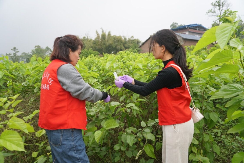 1618534179986053236.jpg 1618534179986053236.jpg