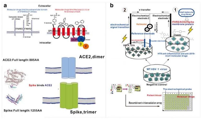 JyPw_1661845756888051988.jpg JyPw_1661845756888051988.jpg