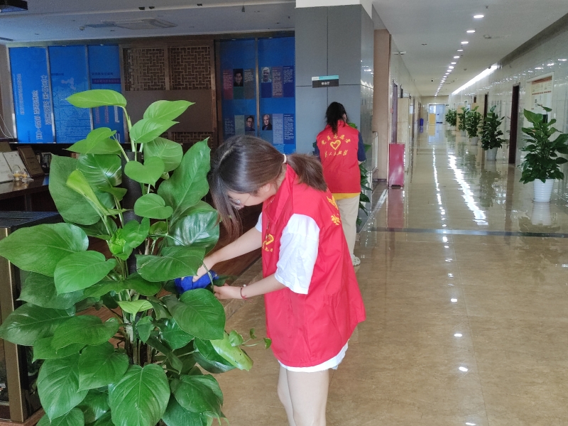 SAtT_1694494718562014546.jpg SAtT_1694494718562014546.jpg