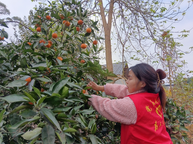 LuHG_1702805712433025014.jpg LuHG_1702805712433025014.jpg