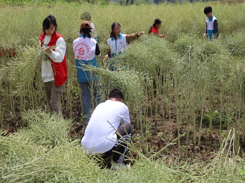 PIoH_1746521151514084318.jpg PIoH_1746521151514084318.jpg