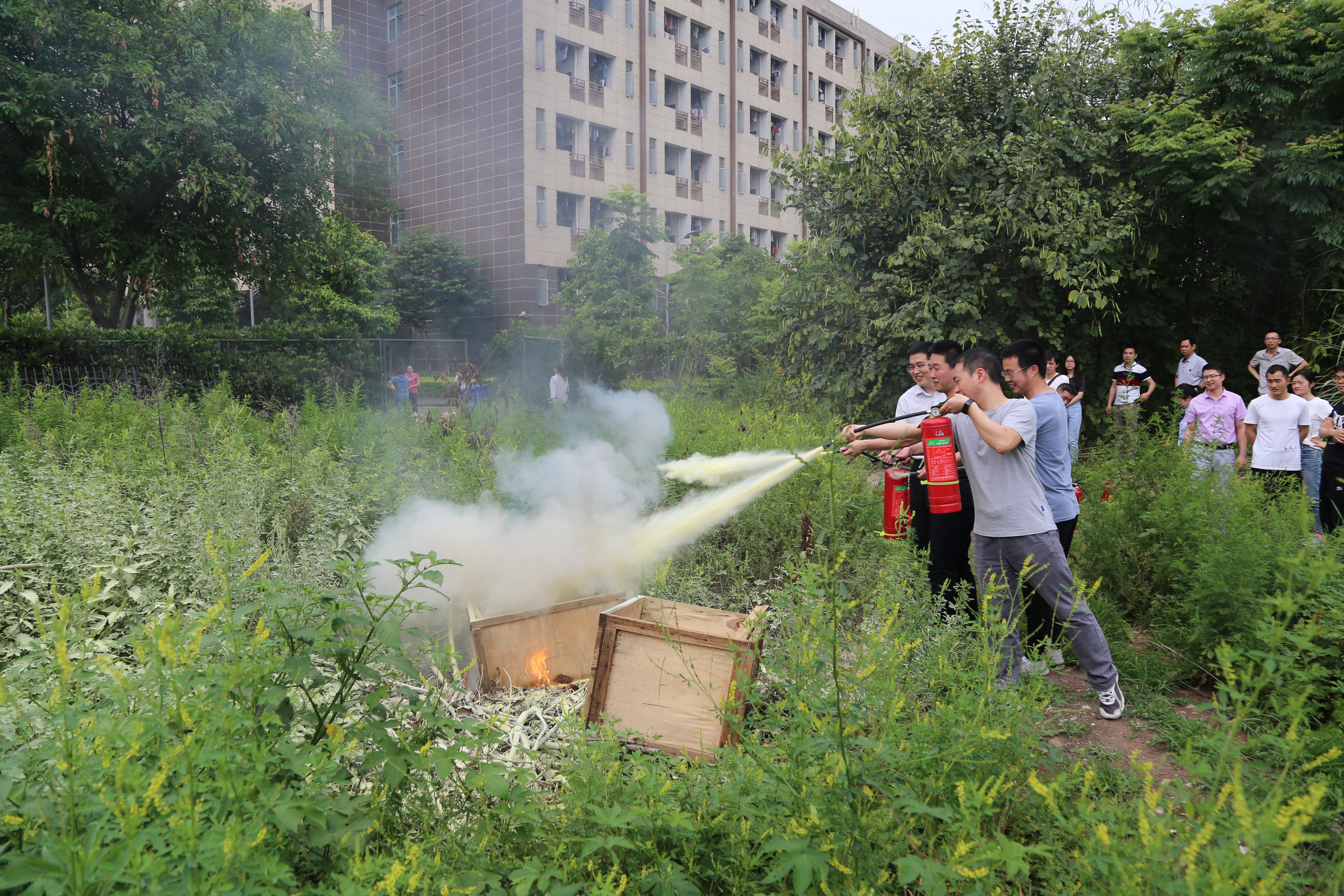 1527037139476050810.jpg IMG_0861.jpg