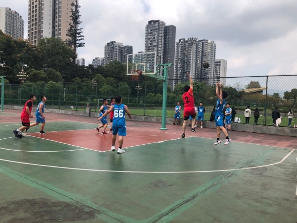 1574155950113057450.jpeg 1574155950113057450.jpeg