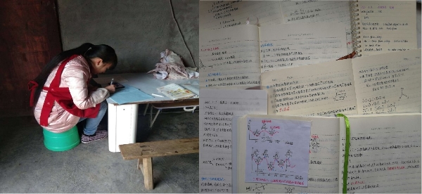 1584951203812020880.jpg 1584951203812020880.jpg