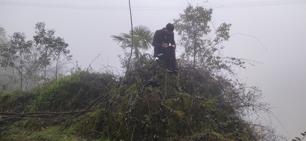 1584951229493067912.jpg 1584951229493067912.jpg